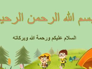 المادة الصلبة