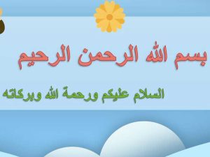 العلاقات في الأنظمة البيئية