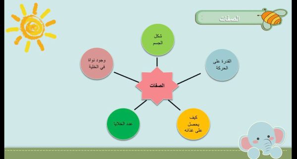 ⁦تصنيف المخلوقات الحية⁩ - الصورة ⁦2⁩