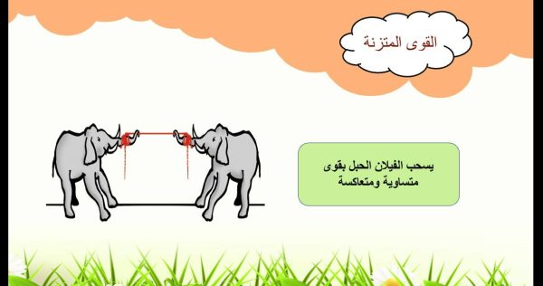 ⁦تغير الحركة⁩ - الصورة ⁦3⁩