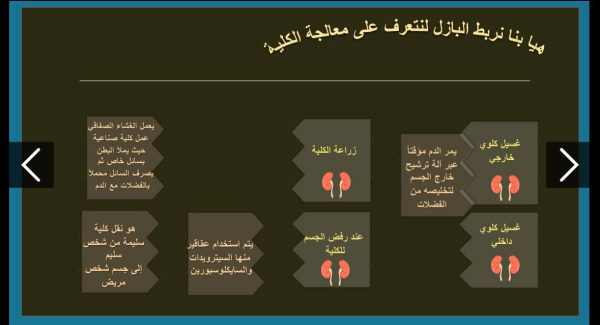 ⁦الجهاز الاخراجي ( جديد )⁩ - الصورة ⁦11⁩