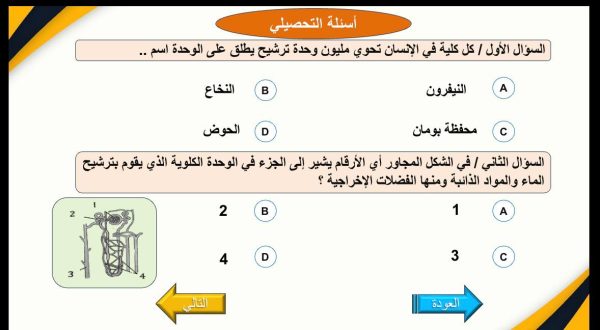 ⁦الجهاز الاخراجي ( جديد )⁩ - الصورة ⁦13⁩