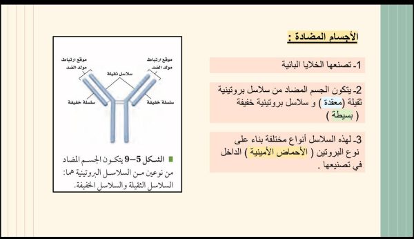 ⁦المناعة ( جديد )⁩ - الصورة ⁦6⁩