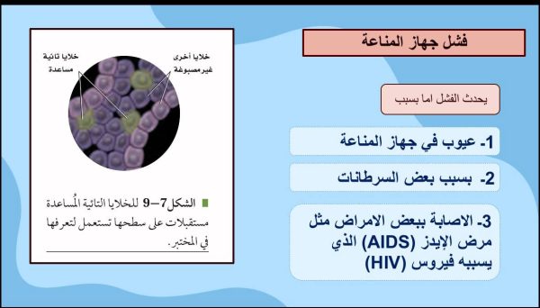 ⁦المناعة ( جديد )⁩ - الصورة ⁦7⁩