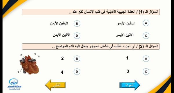 ⁦جهاز الدوران ( جديد )⁩ - الصورة ⁦9⁩