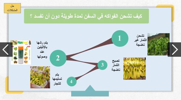 ⁦هرمونات النبات واستجابتها⁩ - الصورة ⁦6⁩