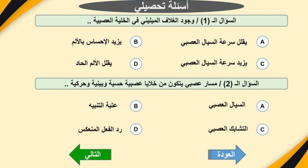 ⁦الجهاز العصبي ( جديد )⁩ - الصورة ⁦9⁩