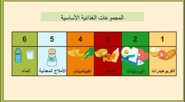 ⁦التغذية ( جديد )⁩ - الصورة ⁦7⁩