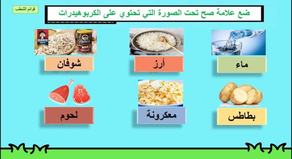 ⁦التغذية ( جديد )⁩ - الصورة ⁦8⁩