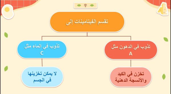 ⁦التغذية ( جديد )⁩ - الصورة ⁦11⁩