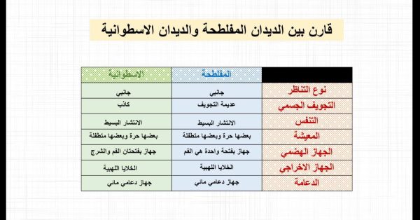 ⁦الديدان الاسطوانية⁩ - الصورة ⁦4⁩