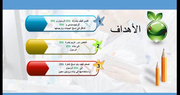 ⁦DNA و RNA و البروتين ( جديد )⁩ - الصورة ⁦3⁩