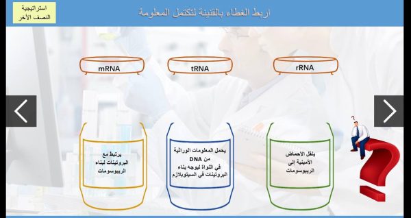 ⁦DNA و RNA و البروتين ( جديد )⁩ - الصورة ⁦4⁩