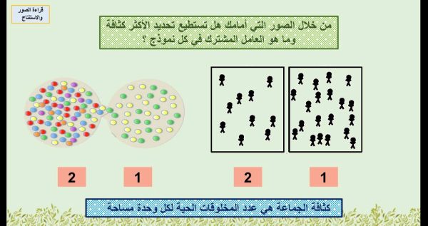 ⁦ديناميكا الجماعة الحيوية ( جديد )⁩ - الصورة ⁦4⁩