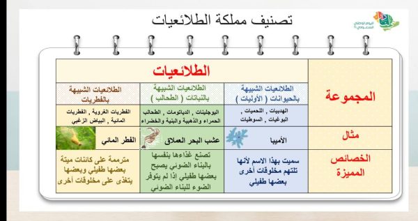 ⁦الطلائعيات⁩ - الصورة ⁦5⁩