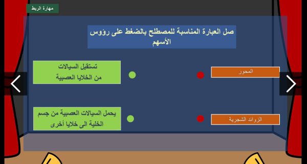 ⁦الجهاز العصبي ( جديد )⁩ - الصورة ⁦5⁩