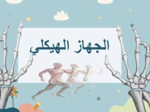 الجهاز الهيكلي ( جديد )