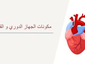 مكونات الجهاز الدوري والقلب