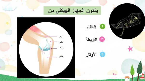 ⁦الحركة والاحساس⁩ - الصورة ⁦4⁩