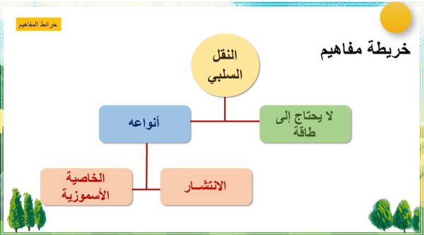 ⁦الخلية النباتية والخلية الحيوانية⁩ - الصورة ⁦5⁩