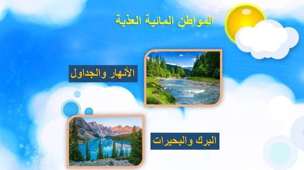 ⁦مقارنة الأنظمة البيئية⁩ - الصورة ⁦5⁩