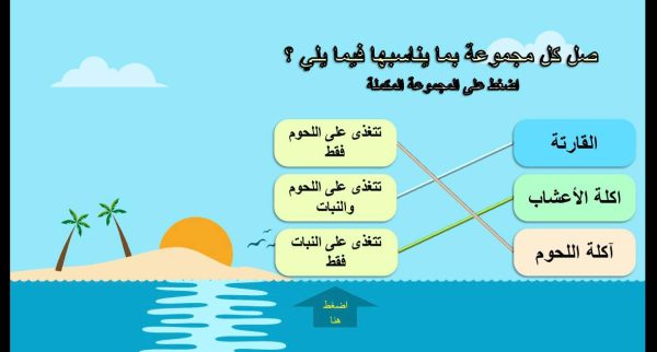 ⁦انتقال الطاقة في النظام البيئي ( جديد )⁩ - الصورة ⁦6⁩