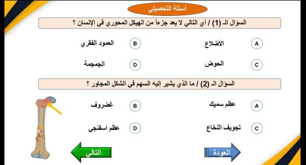 ⁦الجهاز الهيكلي ( جديد )⁩ - الصورة ⁦5⁩