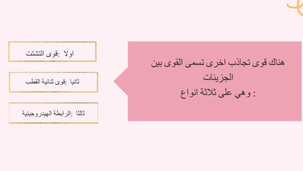 ⁦قوى التجاذب⁩ - الصورة ⁦4⁩