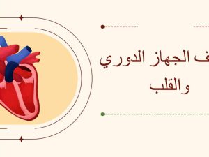 وظائف الجهاز الدوري والقلب