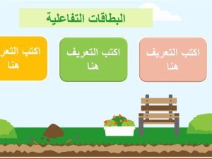 مسابقة 11