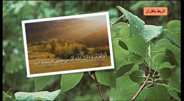 ⁦المناطق الحيوية البرية ( جديد )⁩ - الصورة ⁦4⁩