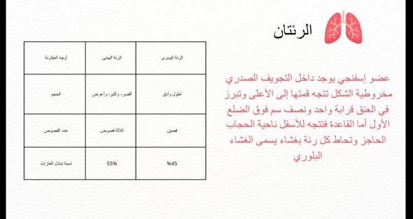 ⁦التركيب الوظيفي للجهاز التنفسي⁩ - الصورة ⁦7⁩