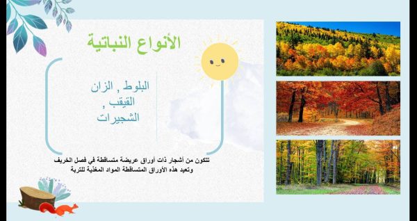 ⁦المناطق الحيوية البرية ( جديد )⁩ - الصورة ⁦9⁩