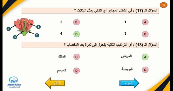 ⁦حقيبة تدريبية للاختبار التحصيلي⁩ - الصورة ⁦5⁩