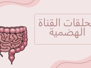 ملحقات القناة الهضمية