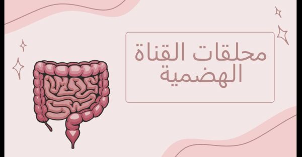 ملحقات القناة الهضمية