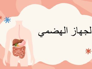الجهاز الهضمي