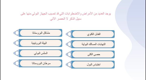 ⁦الأمراض الأكثر شيوعاً في الجهاز البولي⁩ - الصورة ⁦2⁩