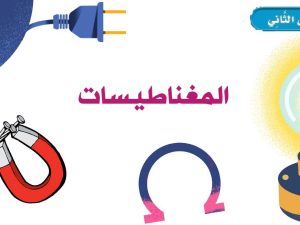 المغناطيسيات