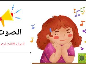 الصوت