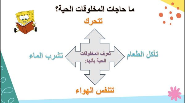 ⁦حاجات المخاوقات الحية⁩ - الصورة ⁦3⁩