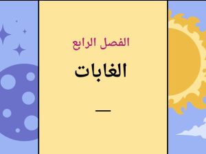 الغابات
