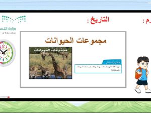 مجموعات الحيوانات