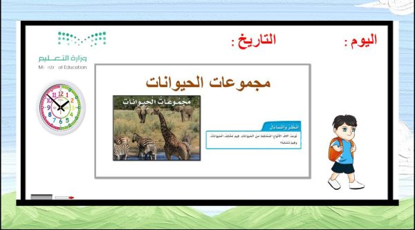 مجموعات الحيوانات